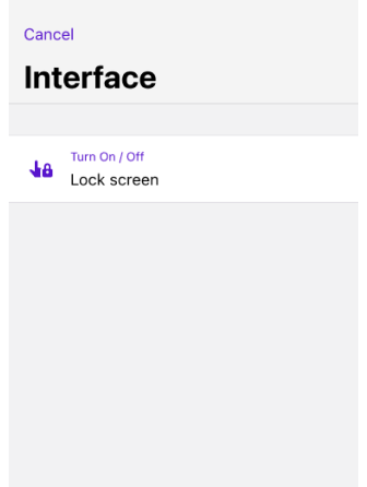 Quick action button Touch Screen Lock iOS