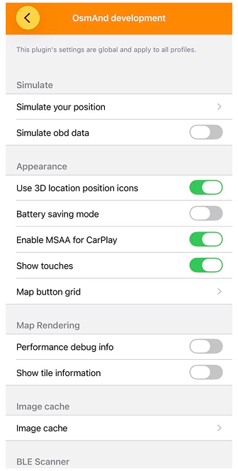 Entwicklungseinstellungen iOS